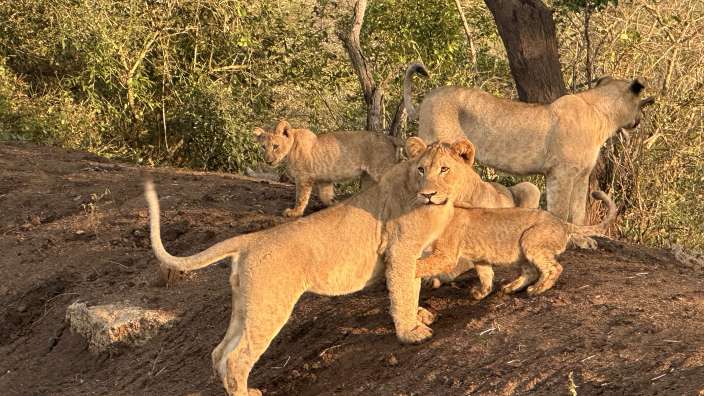 Rhino River Lodge