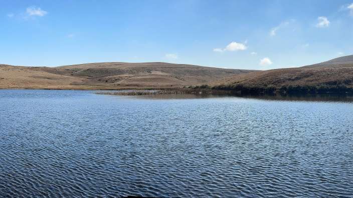 Highland Moor 