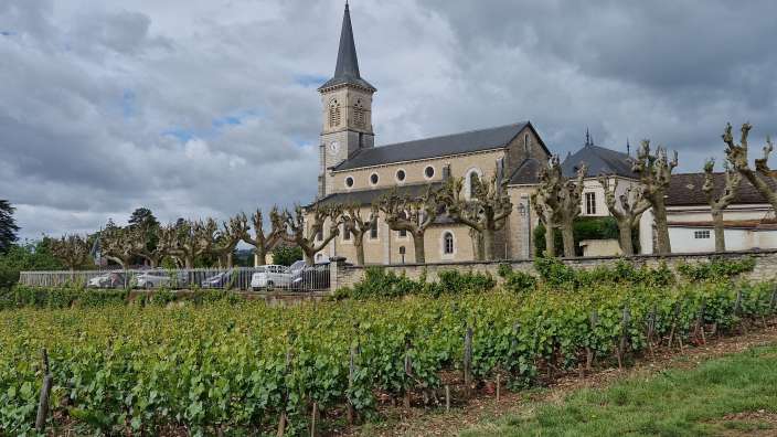 Aloxe Corton