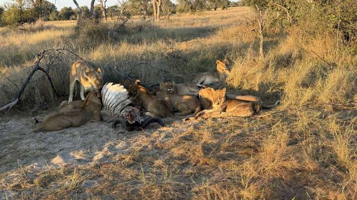 Hwange Nationalpark