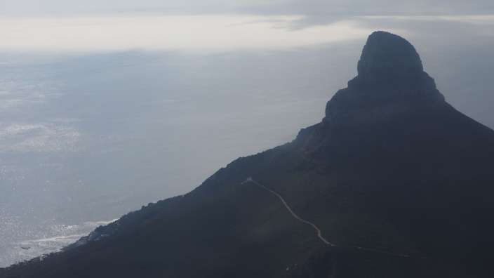 Lionshead