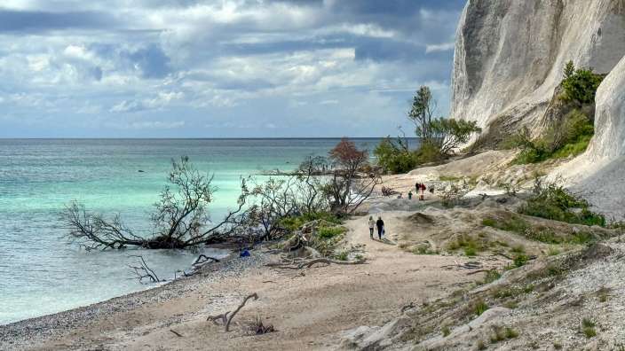 Møns Klint