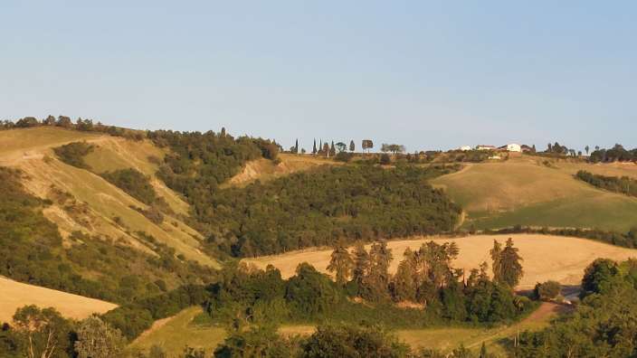 Abendblick vom Weingut