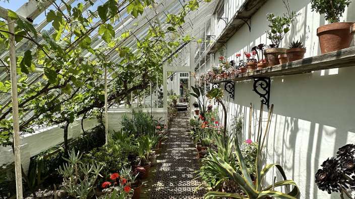 The Lost Gardens of Heligan