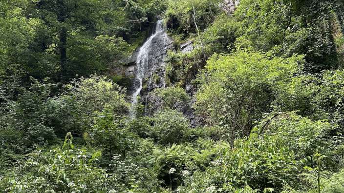 Canonteign Falls,  Dartmoor 