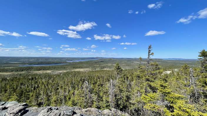 Im Terra Nova National Park 
