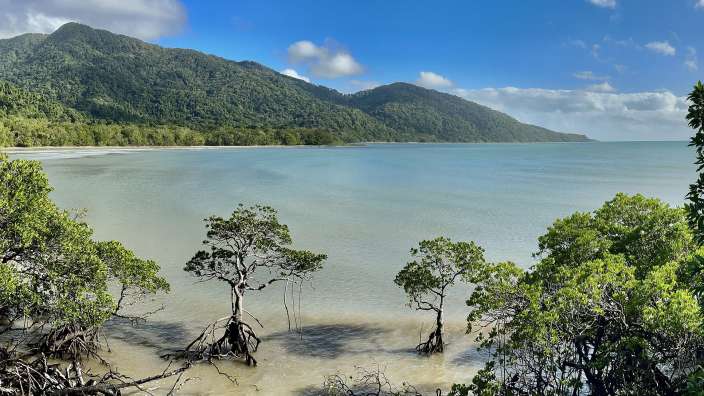 Kulki Beach / Daintree NP