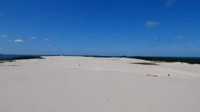Düne von Leba an der polnischen Ostseeküste