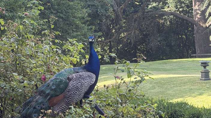 Park Manoir de Chantore