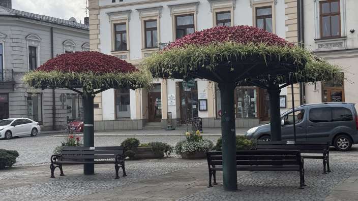 Nowy Sacz