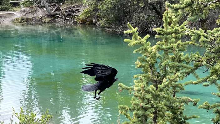 Johnston Creek Wanderung zu den Ink Pots
