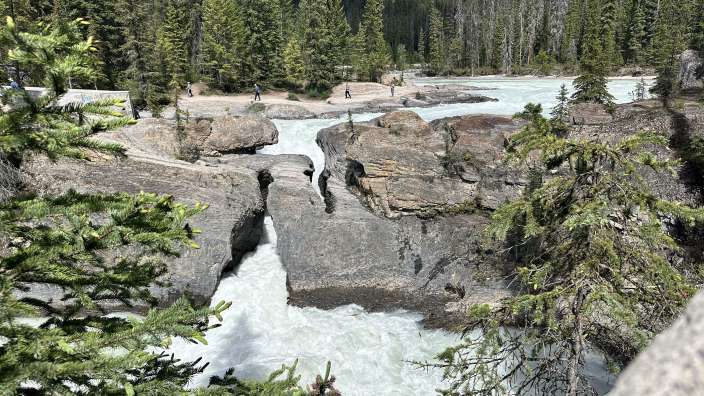 Yoho NP Kicking Horse River