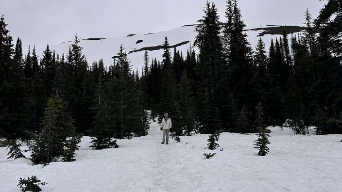 Jasper NP Parker Ridge Trail im Schnee
