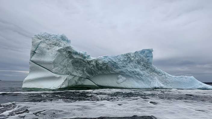 Eisbergbootstour in Twillingate 