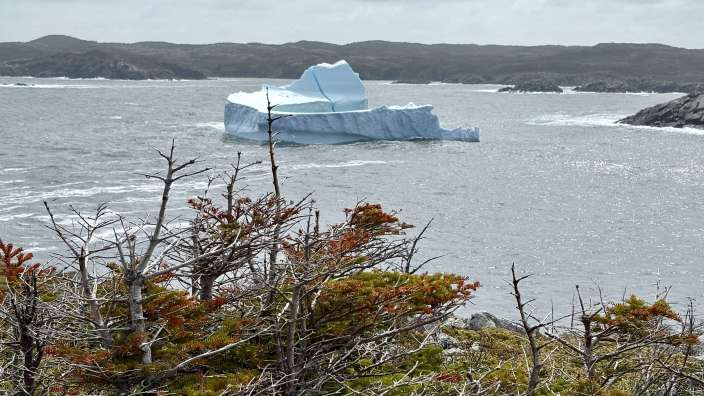 Auf dem Lower Little Harbour Trail