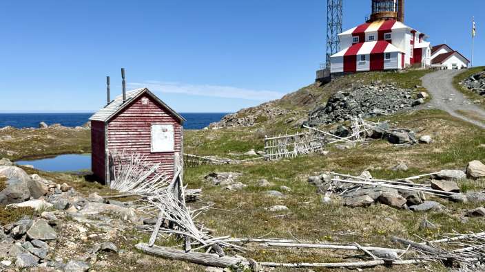 Bonavista