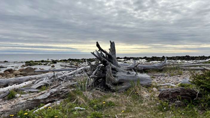 Coastal Trail bei Sally‘s Cove