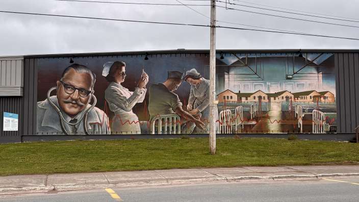 Eins von achtzehn Murals in Botwood 