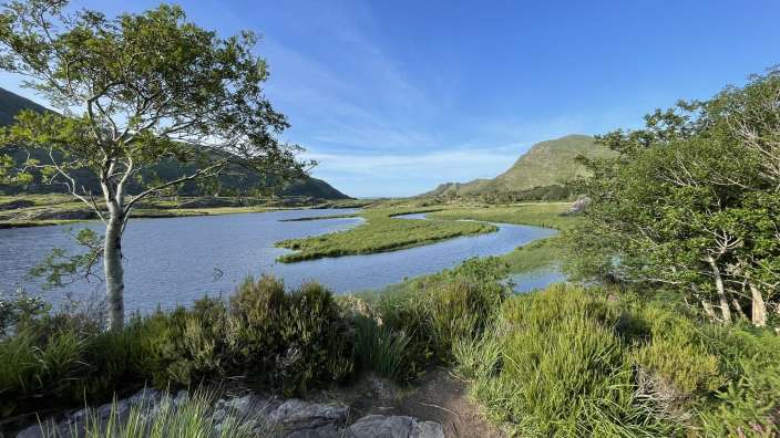 Die malerische Umgebung in Killarney