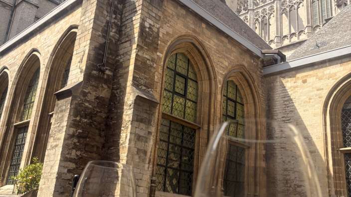 Weinchen im Innenhof der Kathedrale Antwerpen