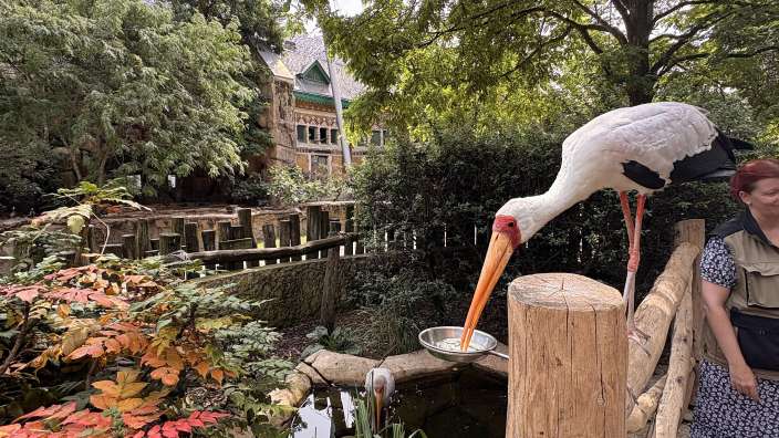 Zoo Antwerpen