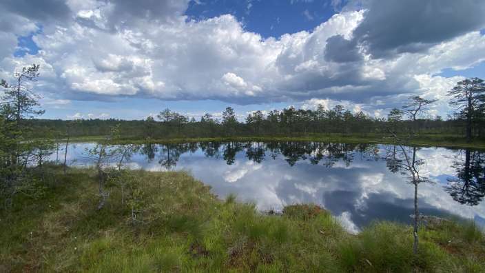 Im Lahemaa Nationalpark