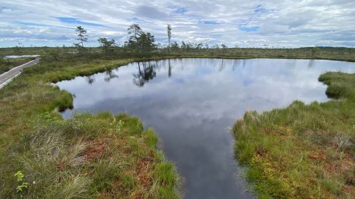Wandern im Sooma Nationalpark