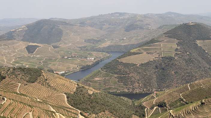 Douro Tal
