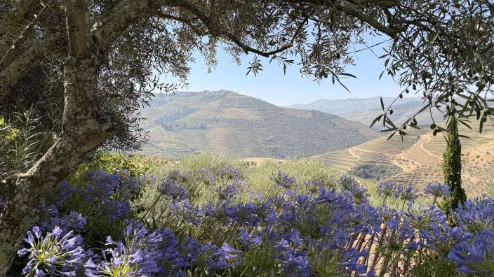 Herrenhaus im Douro Tal