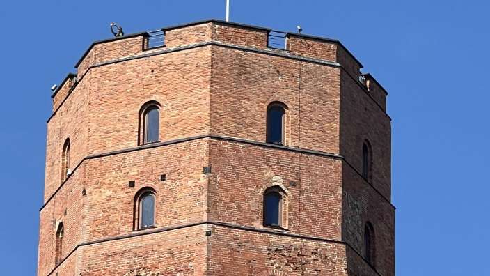 Gediminas Turm 