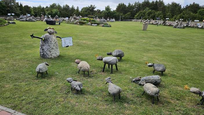 Saaremaa, "Schafsparlament" 