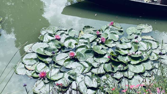 Giverny