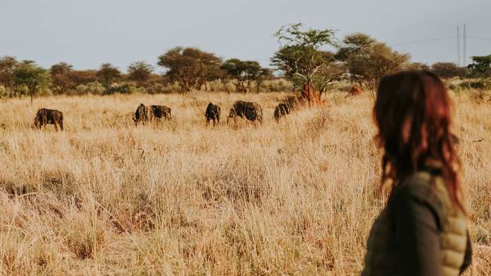 Bushwalk- Kambaku Safari Lodge