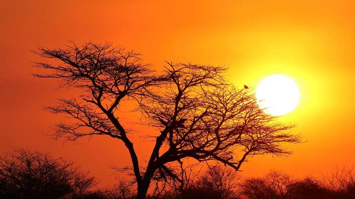 Einer der wundervollen Sonnenuntergänge