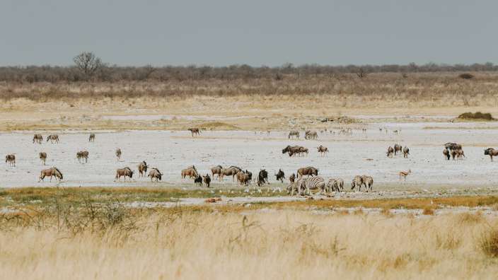 Etosha Nationalpark