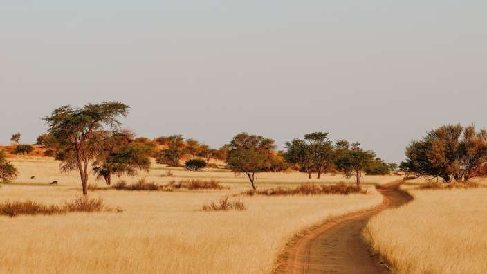 Kalahari
