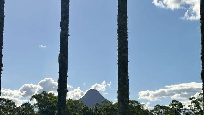 Kaffeefarm an den Glass House - Mountains. Sehr zu empfehlen