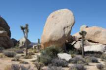 Beate und Michael Birkner