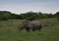 Sieglinde und Günther