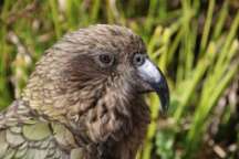 Wolf-Dietrich und Helga