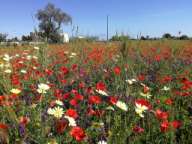 Peter und Bernadette