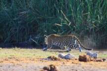 Markus & Christine Schriewer