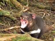 Cornelia u. Wolfgang