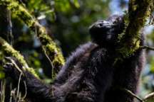 Erika und Wilfried Pinzl