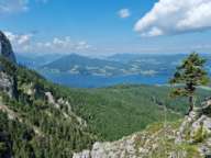 Peter und Bernadette