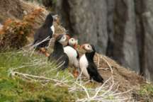 Christine und Thomas 