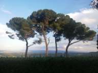 Heinz Günther und Marita