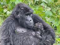 Renata & Christopher Perry