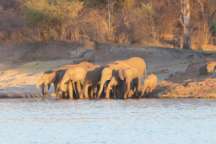 Irmhild, Melanie, Ronny und Hans Wilhelm