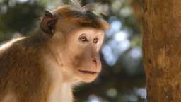 Marie-Luise & Heiner